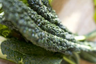 kale